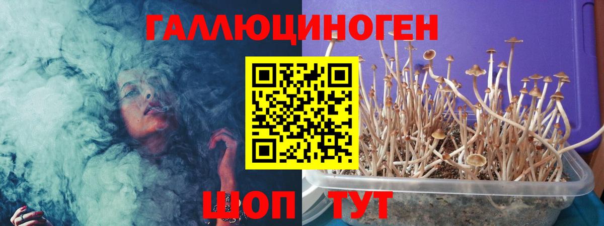 Можайск  Псилоцибиновые грибы MAGIC MUSHROOMS  Вход с VPN 