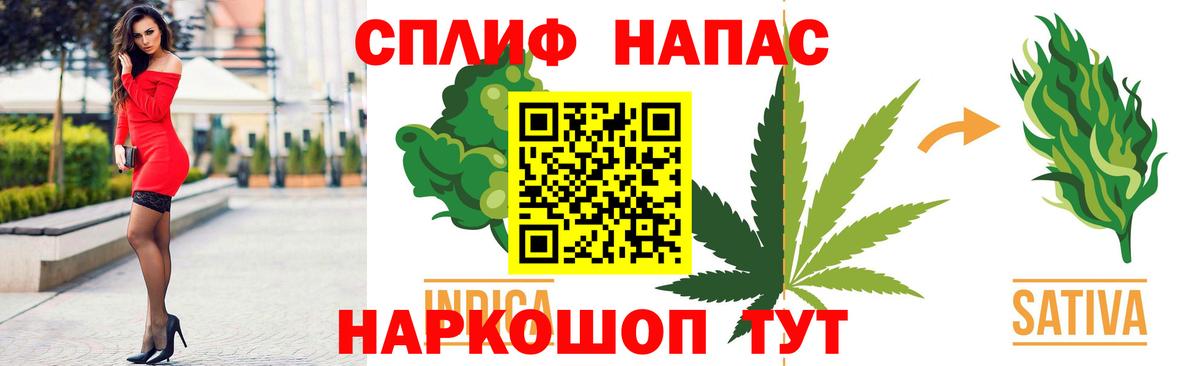 Бошки Шишки план Можайск